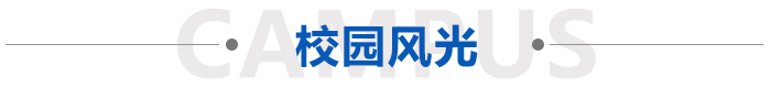 星空网页版